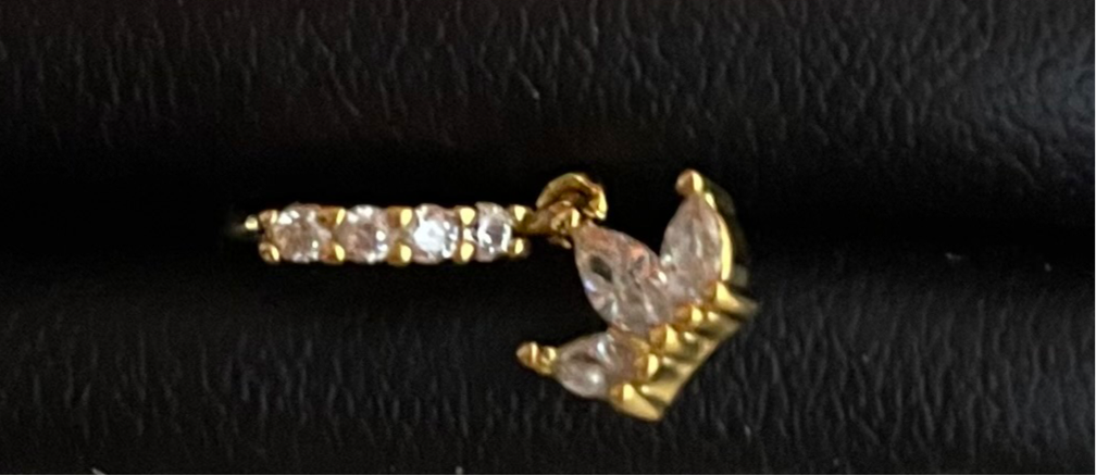 CROWN NOSE RING