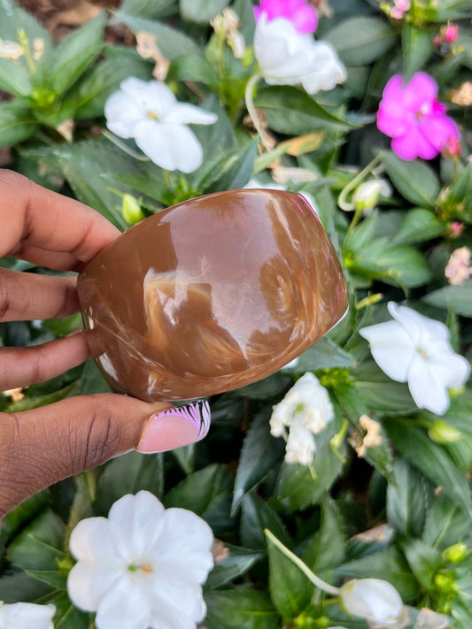 Chocolate Milk ✨